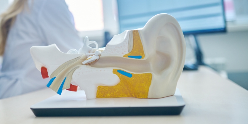Hearing Aid Express Blog